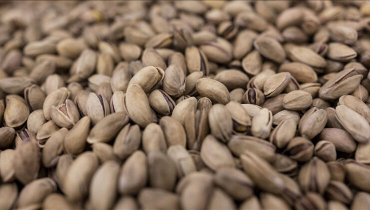 Fıstık Fiyatlarına Denetim: Gaziantep ve Şanlıurfa’da Stok ve Faturalar İncelendi