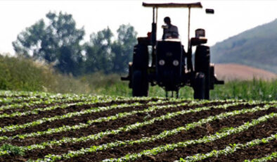Tarım üreticisinin enflasyonu aylık yüzde 5,66 azaldı