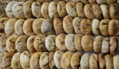 Tariş, 2025 Kuru İncir Alım Fiyatlarını Açıkladı