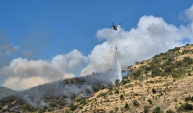 Tekirdağ’da makilik alanda yangın çıktı: Ekiplerin müdahalesi sürüyor