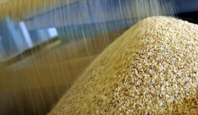 TMO’nun ithalat yoluyla tarım ürünleri almasına ilişkin esaslar belirlendi