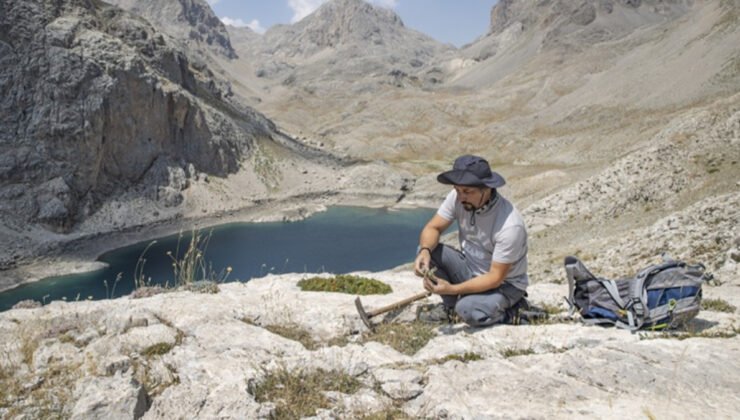 Tunceli Dağlarında yeni bitki türleri keşfedildi