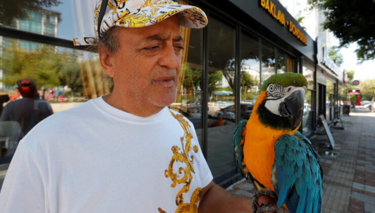 Turgut Özal’ın kaybolan papağanı 3 gün sonra bulundu