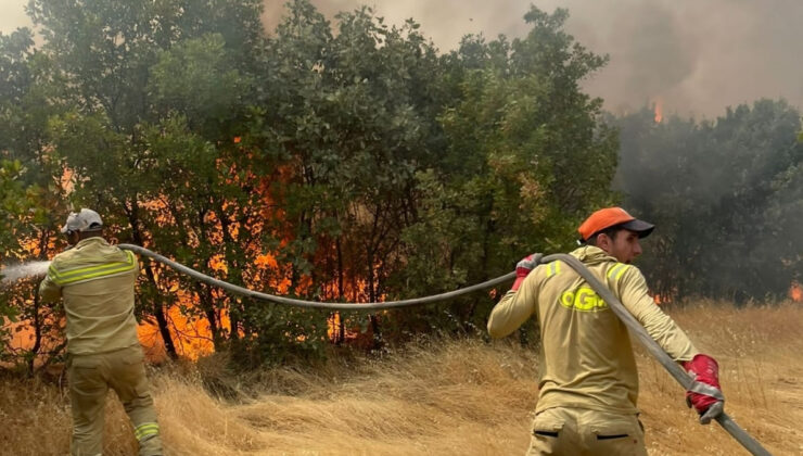 Türkiye’de bir ayda 12 bin 752 futbol sahası büyüklüğünde orman yandı