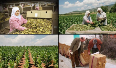 Tütün mamullerinin üretim ve ticaretine ilişkin esaslar düzenlendi