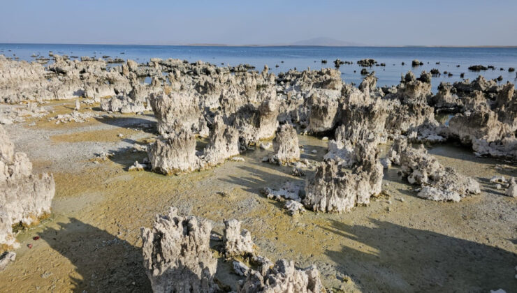 Van Gölü kuraklık ve susuzluk nedeniyle alarm veriyor