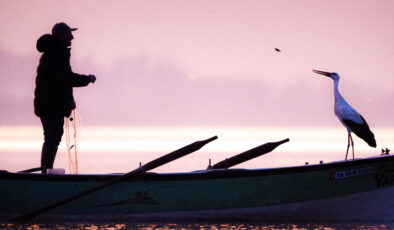 Veda Zamanı: Yaren Leylek 14. Göç Yolculuğuna Başladı