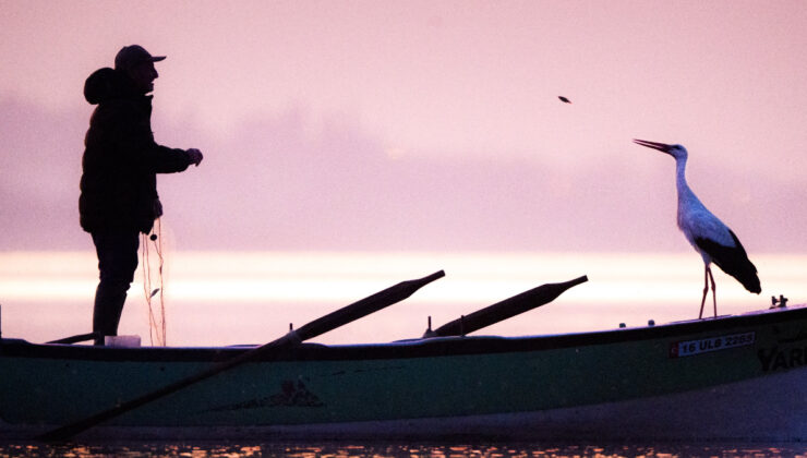 Veda Zamanı: Yaren Leylek 14. Göç Yolculuğuna Başladı