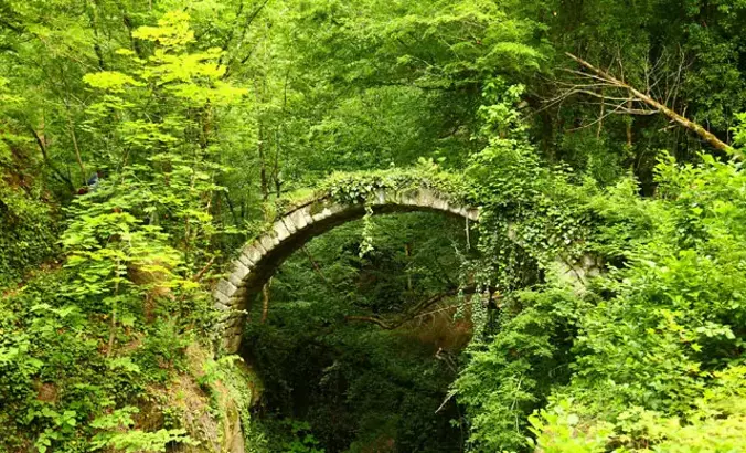 Artvin Borçka Köprü