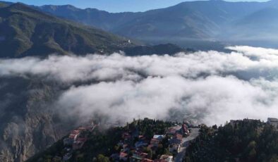 Şehir Merkezinde Görsel Şölen