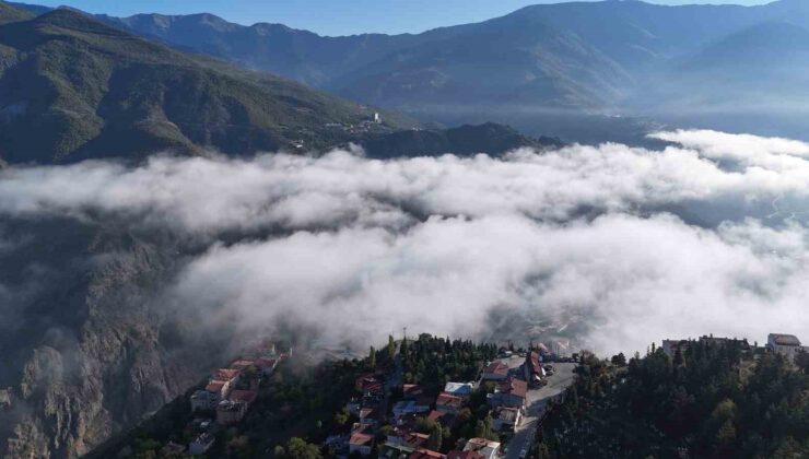 Şehir Merkezinde Görsel Şölen