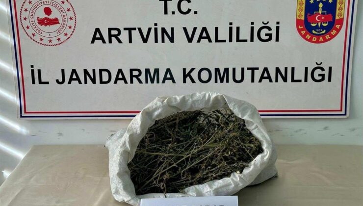 Artvin Hopa’da Narkotik Darbe: 1 Kilonun Üzerinde Kubar Esrar Ele Geçirildi
