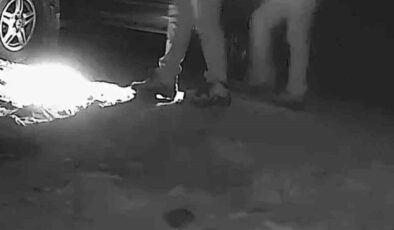 Fotokapan Gerçeği Ortaya Çıkardı: Boz Ayı Avcılarına Ağır Para Cezası