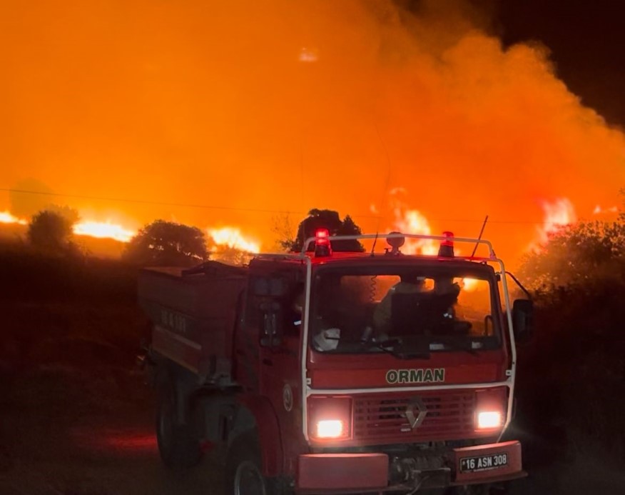 Bursa Orman Yangını

