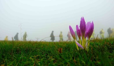 Sis ve Yağmur Engel Olmadı: 130 Dağcı Çetlüce Yaylası’nda Doğayla Buluştu