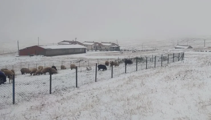 Doğu Karadeniz’in Yükseklerinde Kış Erken Geldi
