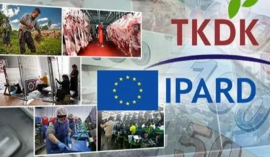 Giresun’da Tarım Yatırımlarına Büyük Destek: IPARD III Hibe Çağrısı