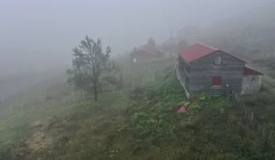 Sis ve Çise Eşliğinde Zorlu Göç Başladı