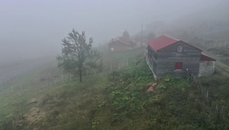 Sis ve Çise Eşliğinde Zorlu Göç Başladı