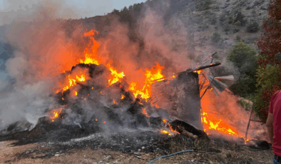 Giresun Şebinkarahisar’da yangın paniği!