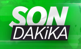 Ahmet Yılmaz, Dünya Güreş Şampiyonası’nda bronz madalya kazandı