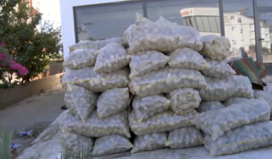 Antalya’da 1,5 ton patates imha edildi
