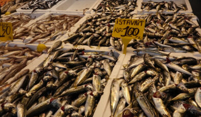 Karadeniz’de Balık Sezonu ‘Vira Bismillah’ Diyerek Başladı