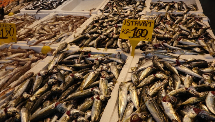 Karadeniz’de Balık Sezonu ‘Vira Bismillah’ Diyerek Başladı