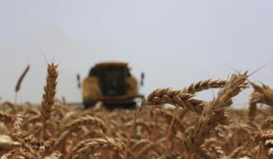 Bitkisel üretimde 2025-2027’de yapılacak yeni desteklemelerin detayları belli oldu