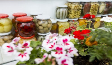 Bu otlar turşuya lezzet katıyor: 1-2 sap ekleyin…