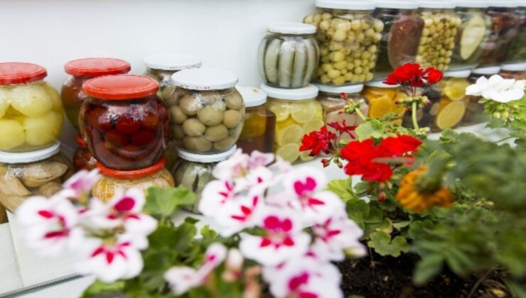 Bu otlar turşuya lezzet katıyor: 1-2 sap ekleyin…