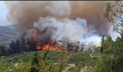 Bursa’daki orman yangınına müdahale devam ediyor