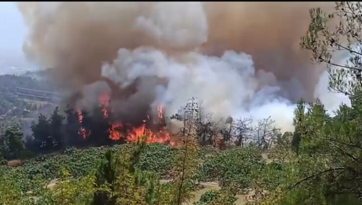 Bursa’daki orman yangınına müdahale devam ediyor