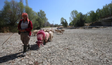 Çal’da 852 yıllık geleneğe kuraklık damgası