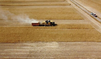 Çiftçiye 47.6 Milyon TL Tarımsal Destek Ödemesi Başladı