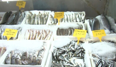 Deprem sonrası Kahramanmaraş’tan 54 ülkeye balık ihracatı