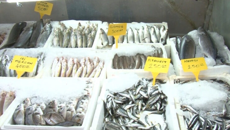 Deprem sonrası Kahramanmaraş’tan 54 ülkeye balık ihracatı