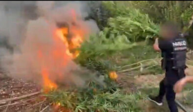 Diyarbakır’da uyuşturucu operasyonu: 1 milyar liralık kenevir ele geçirildi