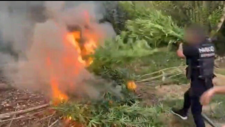 Diyarbakır’da uyuşturucu operasyonu: 1 milyar liralık kenevir ele geçirildi