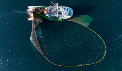 Doğu Karadeniz, 27 ülkeye su ürünleri ihraç ederek kazancını artırdı