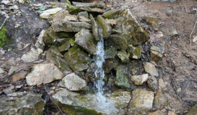 Taşköprü’deki “Aksu” Kaynağı: Dua ile Akan Şifalı Su İnancı