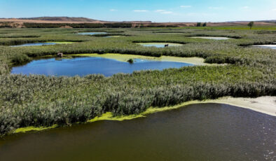 Edirne’de Göl Baba kuraklığa meydan okuyor