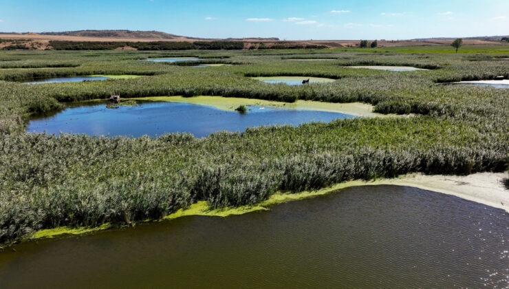 Edirne’de Göl Baba kuraklığa meydan okuyor