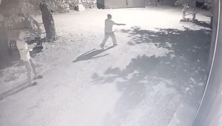 Erzincan’da Tuhaf Kovalamaca: Köylüler Fenerle Ayı Kovaladı