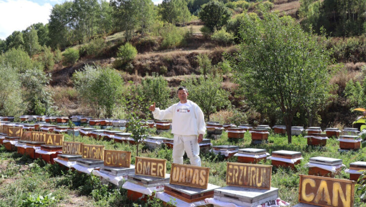 Erzurum’da arılarına yazmayı öğretti