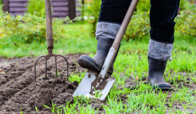 Eylül ve Ekim aylarında mutlaka ekin: Hasat zamanı verimi ikiye katlayın!