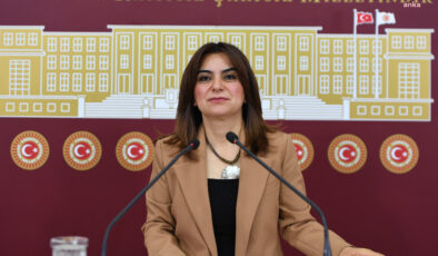 Gülistan Kılıç Koçyiğit: Komisyon Öcalan’la görüşmeli