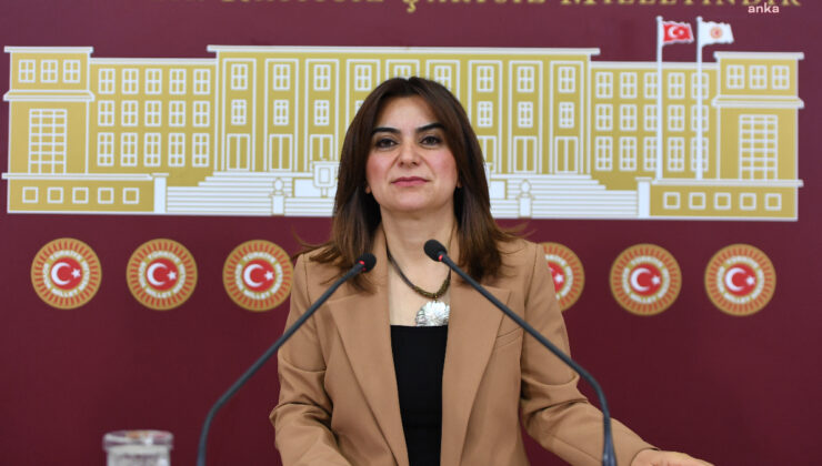 Gülistan Kılıç Koçyiğit: Komisyon Öcalan’la görüşmeli