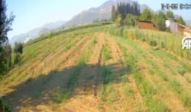 İzmir’de eğitim uçağının düşme görüntüsü ortaya çıktı