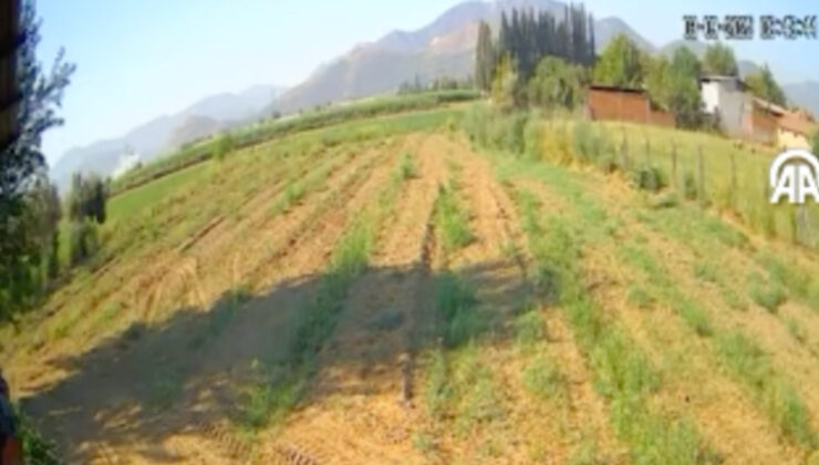 İzmir’de eğitim uçağının düşme görüntüsü ortaya çıktı